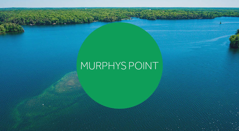 Murphy's Point